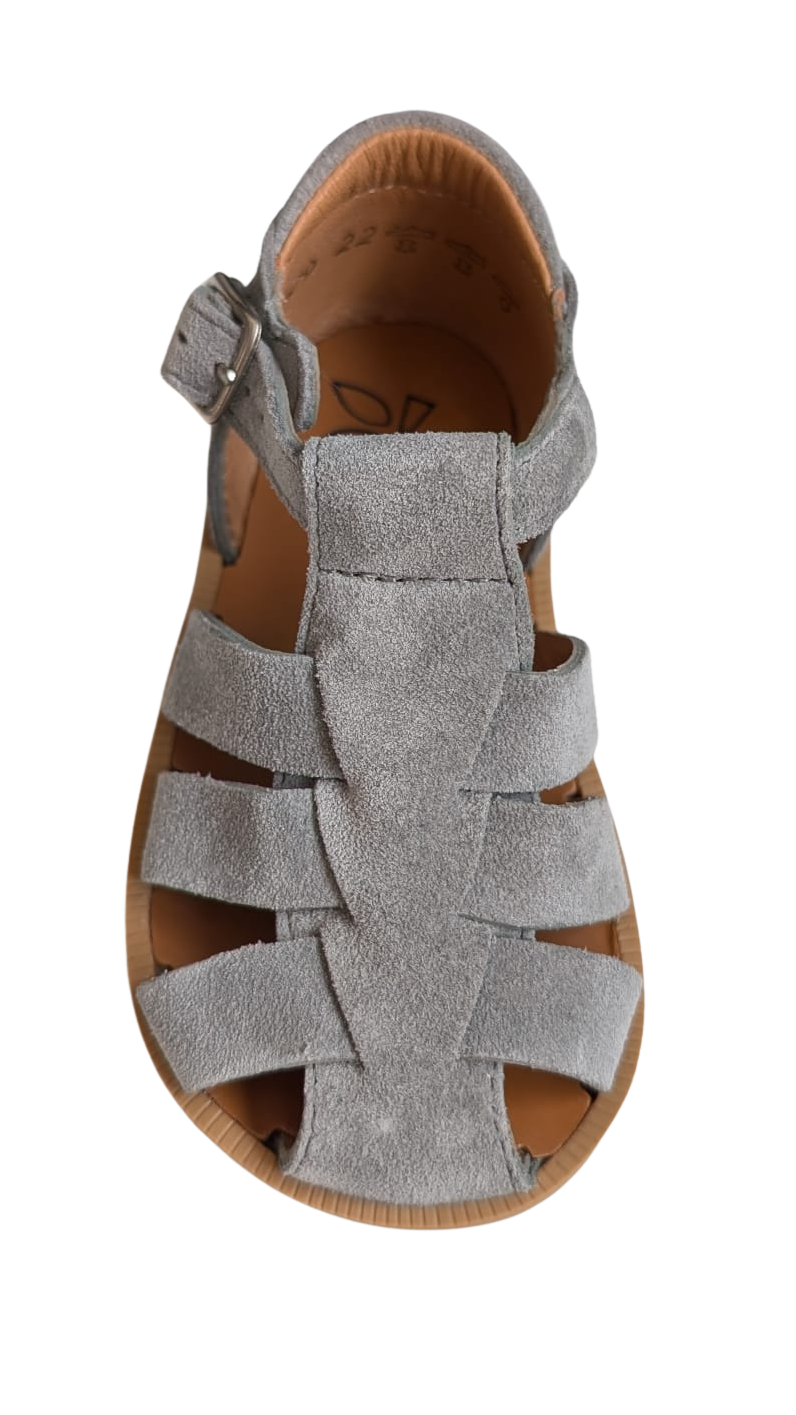 Pom d'Api poppy daddy gris