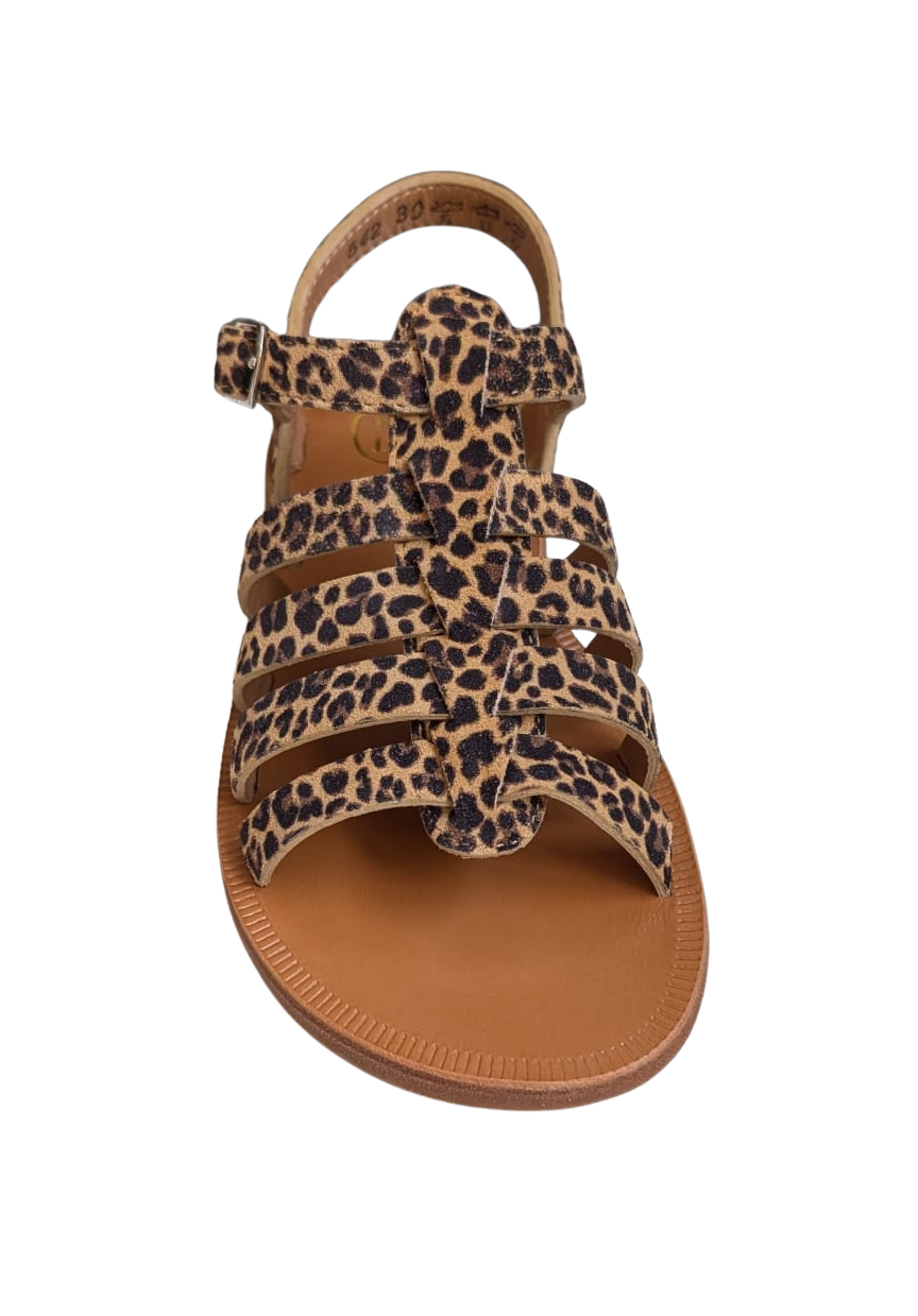 Pom d'api plagette strap mini leo sahara