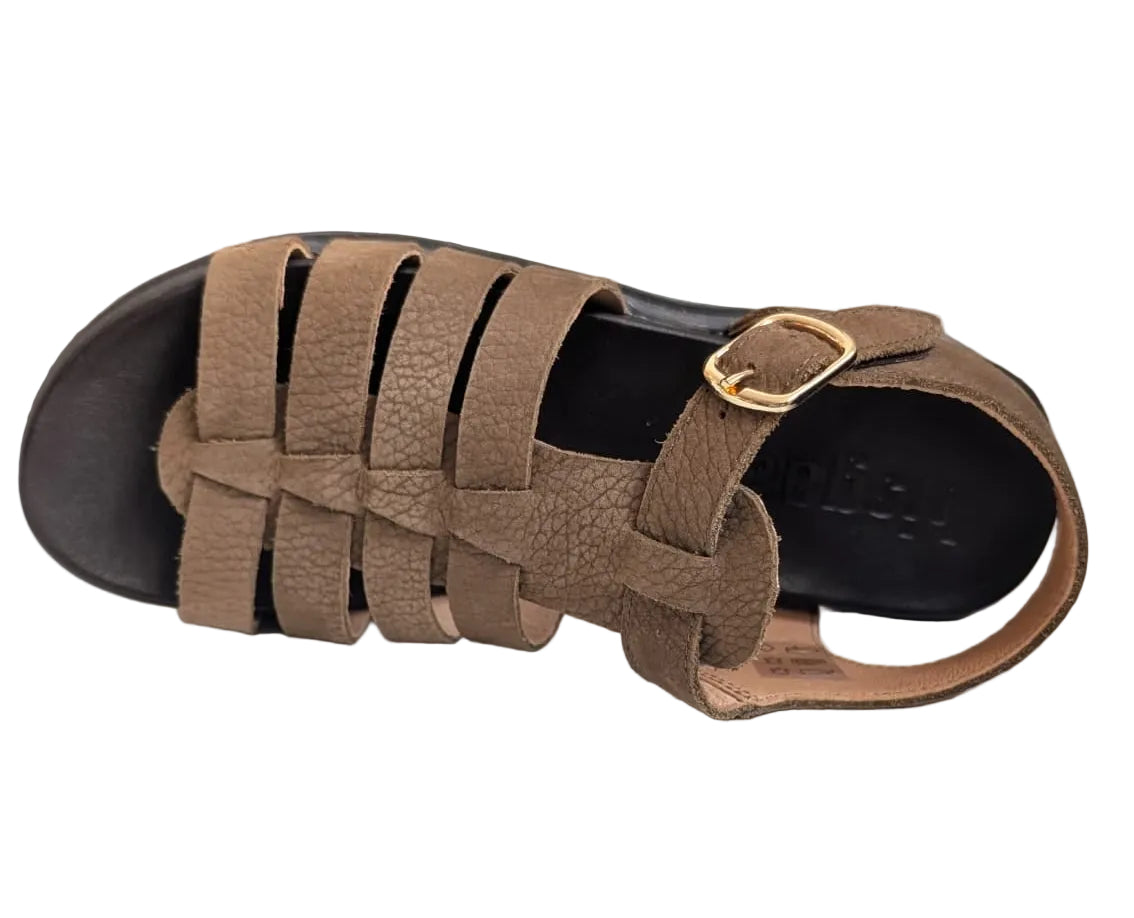 Bisgaard Bera brown bruin