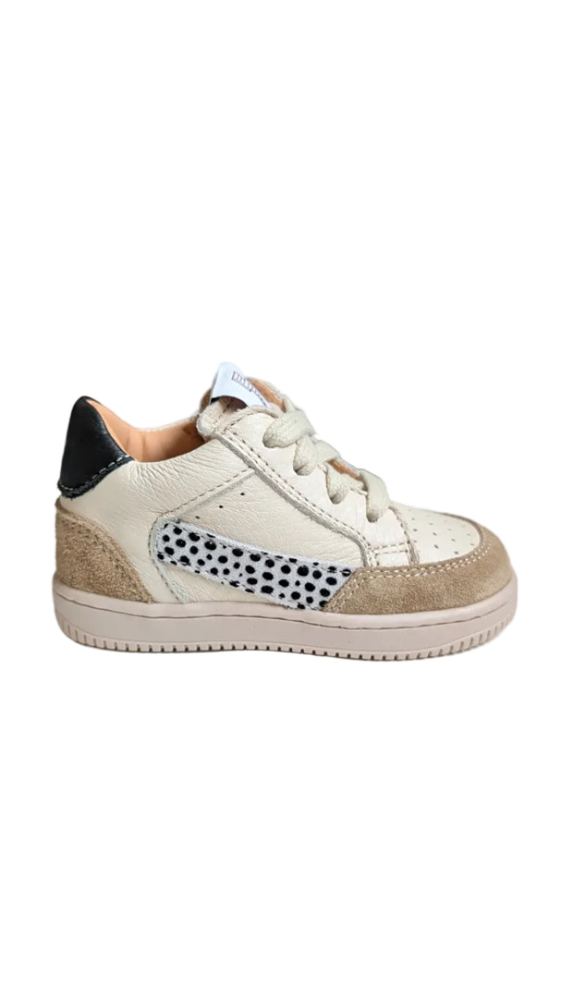 Ocra eerste basketter dalmatier