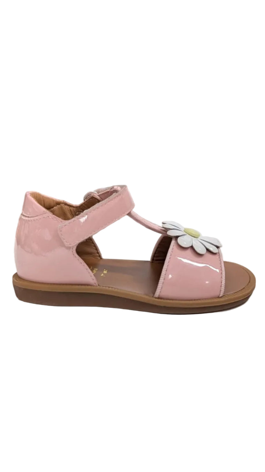 Pom d'Api poppy big flo pink