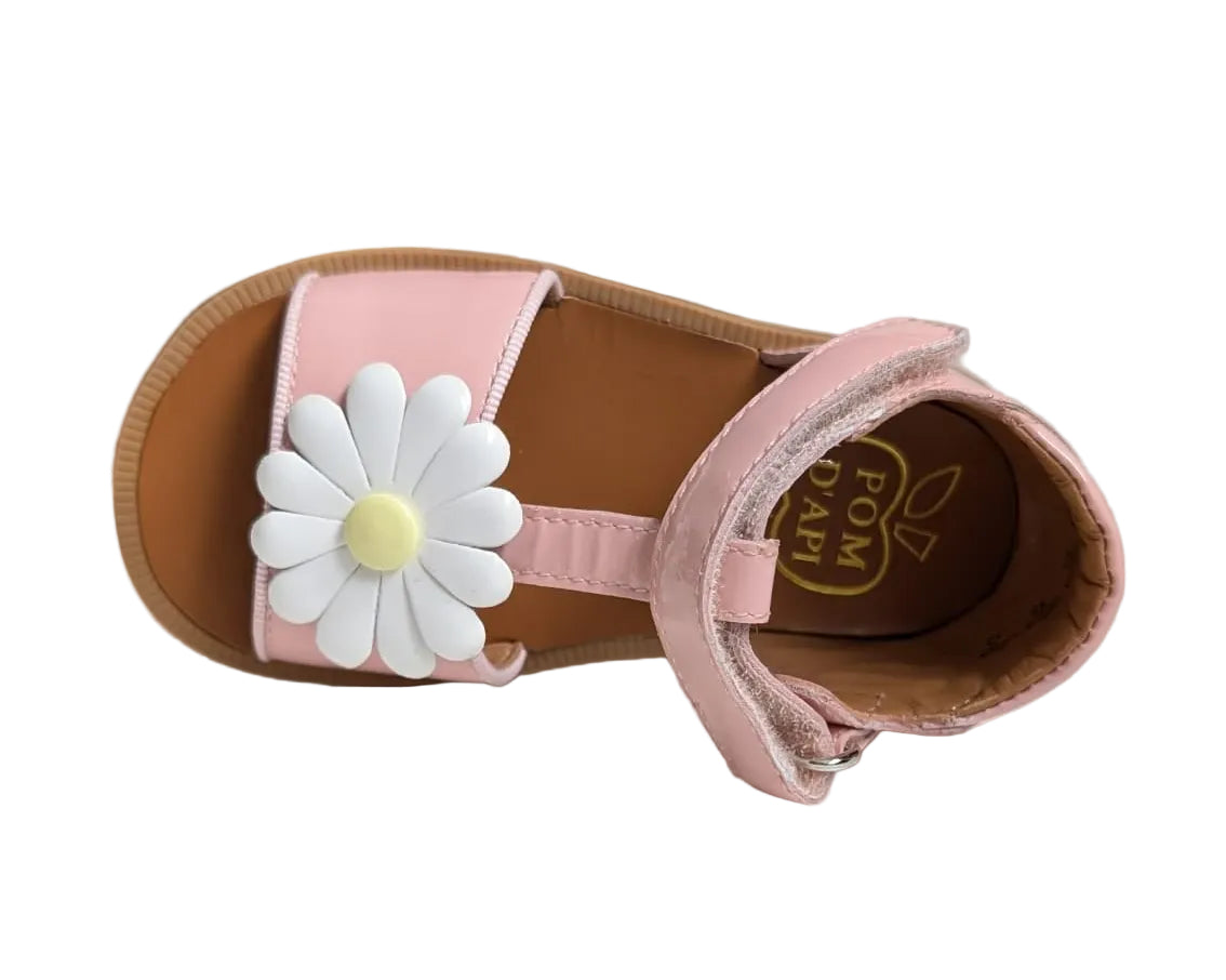 Pom d'Api poppy big flo pink