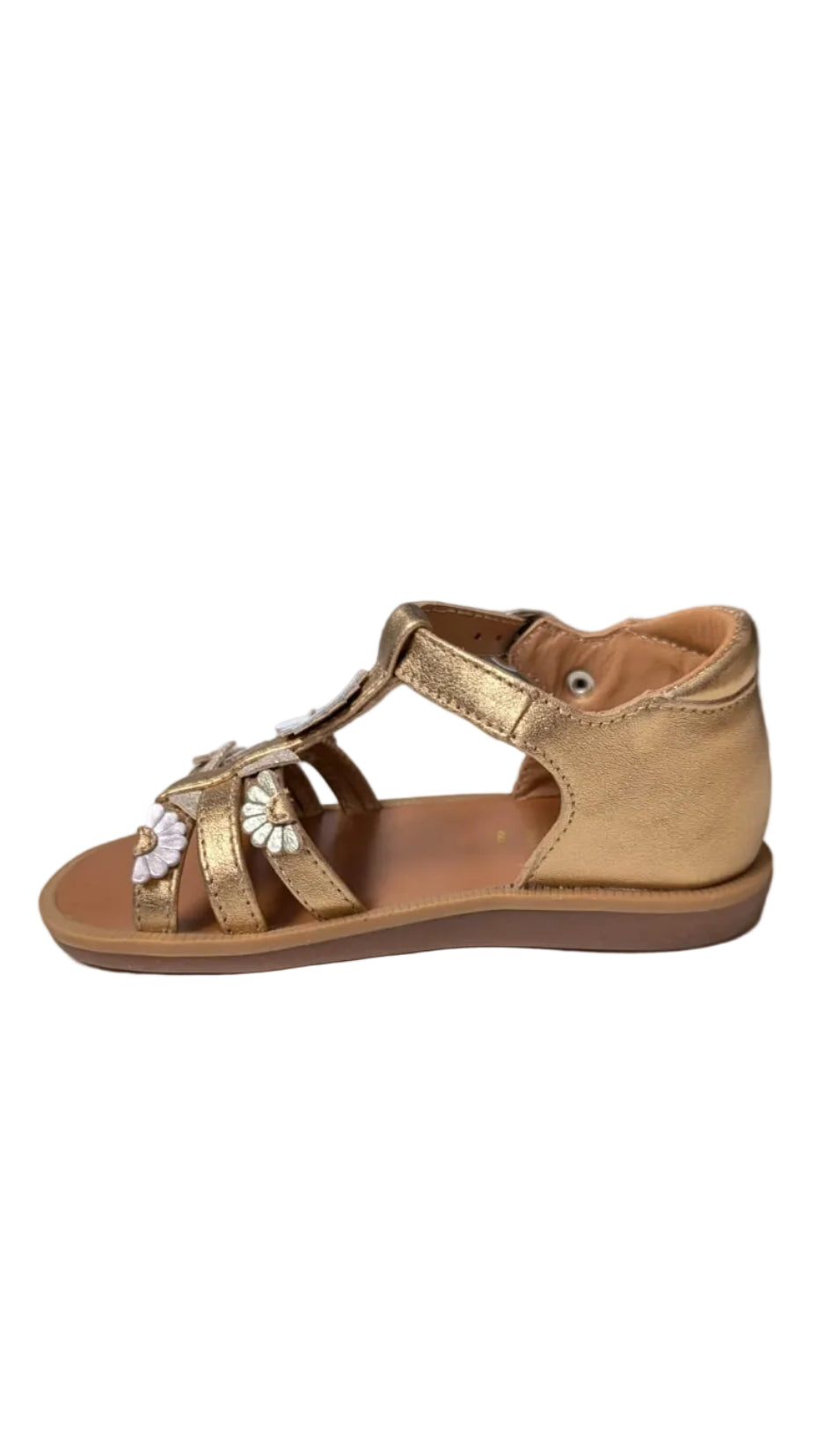 Pom d'api poppy multi daisy dore goud