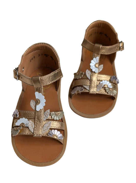 Pom d'api poppy multi daisy dore goud