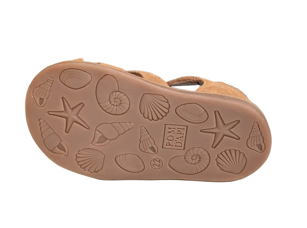 zool Pom d'Api poppy daddy camel light